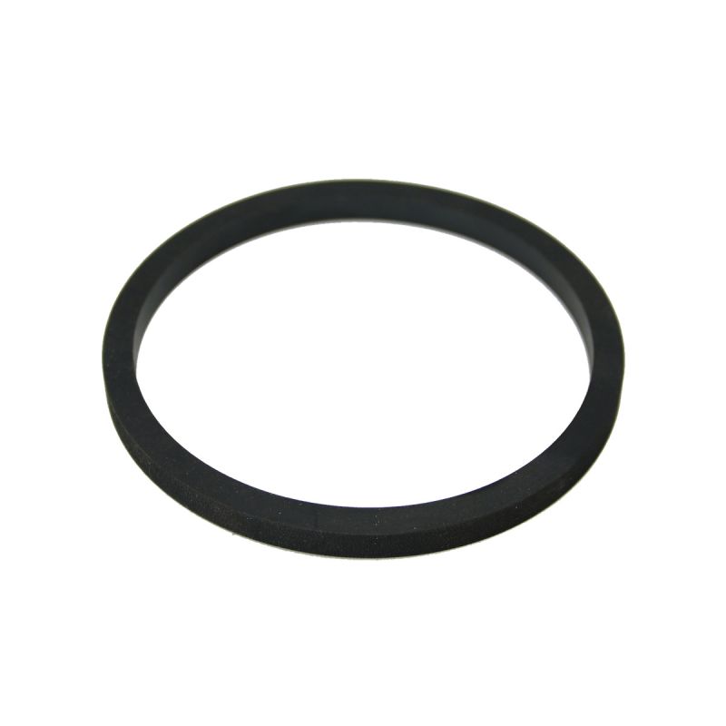 CHAPIN 6-3382 Cover Gasket, For: 301065 and 301191 Pump Rod Assembly
