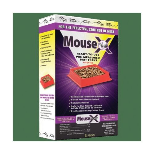 Buy MouseX 620107 Bait Tray, 9.6 oz Pack