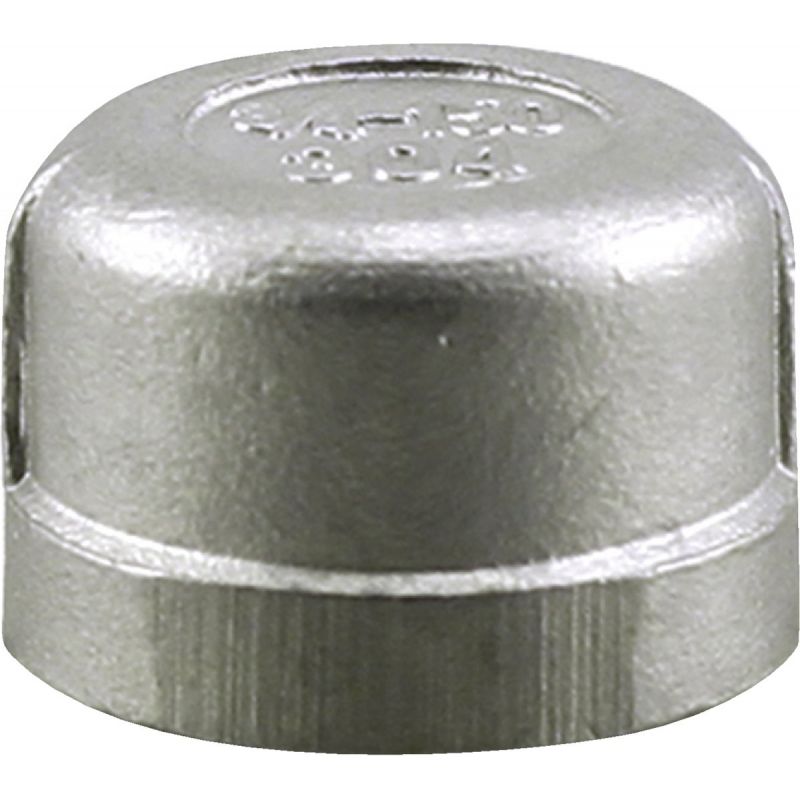 PLUMB-EEZE Stainless Steel Cap 1/2 In. FIP