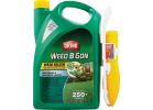 Ortho Weed-B-Gon Weed Killer For Lawns 1 Gal., Wand Sprayer