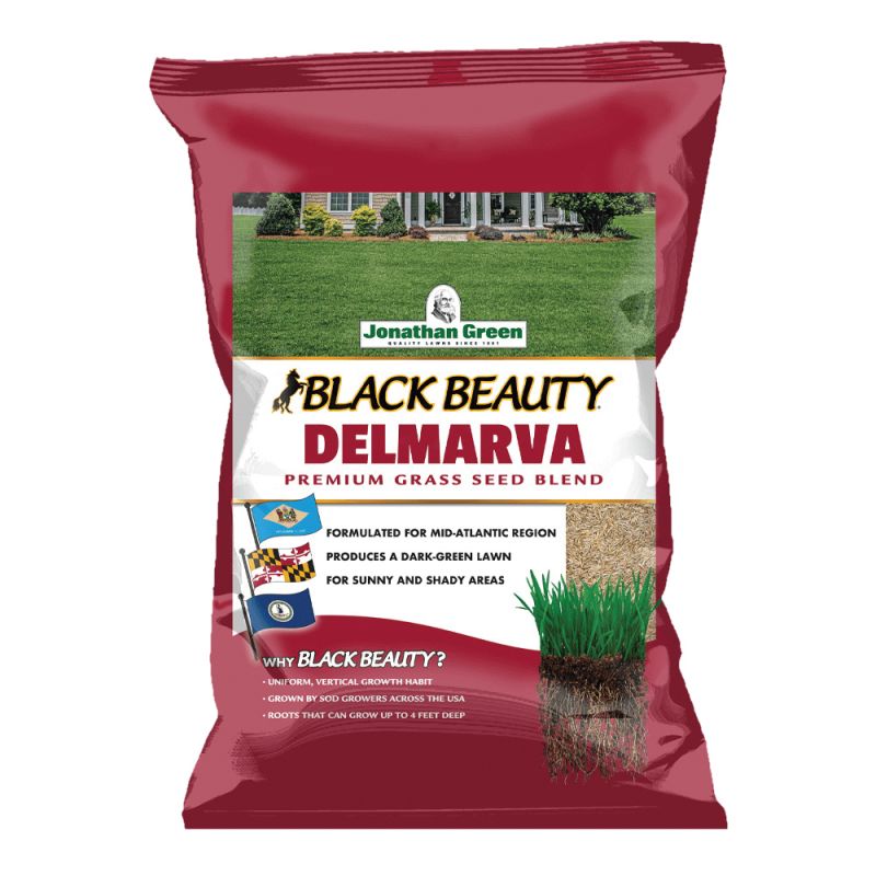 Jonathan Green Black Beauty Delmarva Series 10391 Grass Seed, Mid-Atlantic, 7 lb Bag