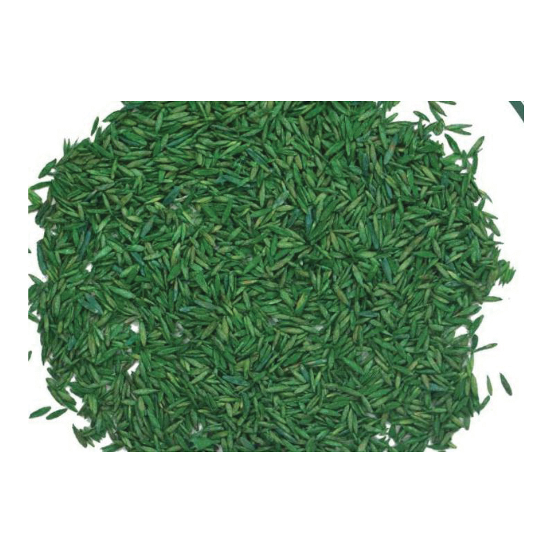Buy Pennington 100543701 Kentucky Fescue Grass Seed, 20 lb Bag