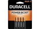 Duracell CopperTop AAA Alkaline Battery 1150 MAh