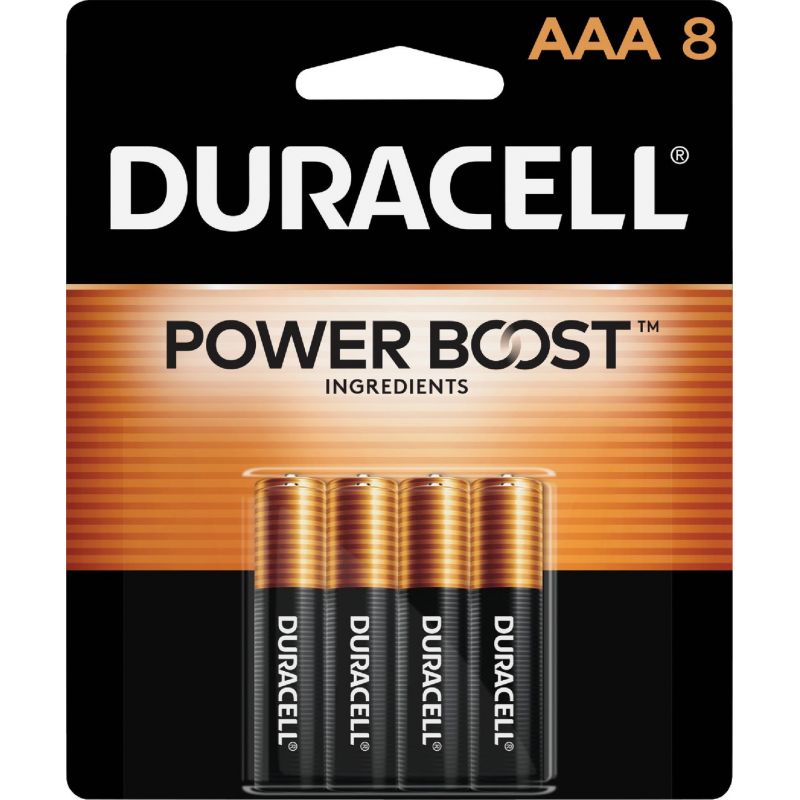 Duracell CopperTop AAA Alkaline Battery 1150 MAh