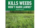 Roundup For Lawns Northern Formula Weed Killer 1.33 Gal., Wand Sprayer