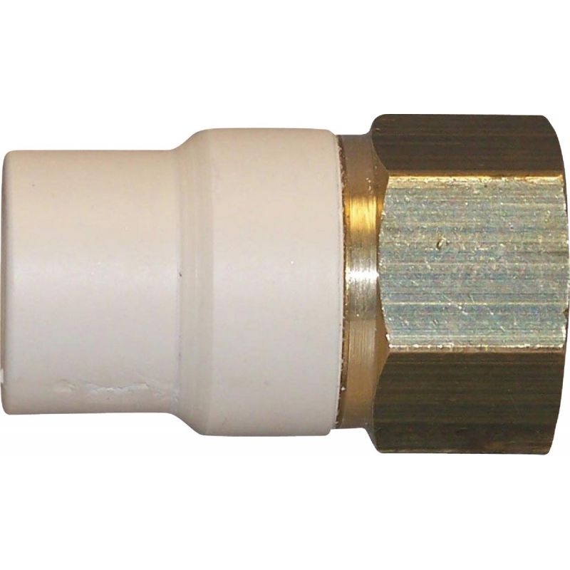 Charlotte Pipe Female to Transition CPVC Adapter