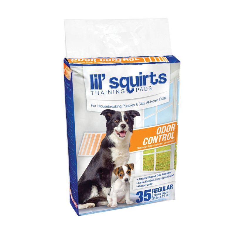 Ruffin&#039;It Lil&#039; Squirts 82006 Odor Control Training Pad, 21 in L, 22 in W