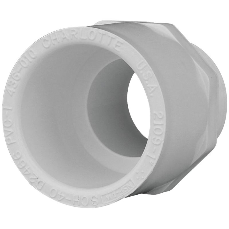 Charlotte Pipe Male PVC Adapter Pressure Fitting