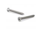 Reliable FKAS61VP Screw, 1 in L, Flat Head, Square Drive, Self-Tapping, Type A Point, Stainless Steel, Stainless Steel, 100/BX