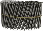 Pro-Fit 15 Degree 304 Stainless Steel Wire Weld Coil Siding Nail