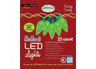 J Hofert Green 25-Bulb C9 LED Light Set