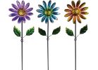 Alpine Daisy Stake Lawn Ornament Pink, Blue, Gold (Pack of 12)