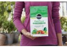 Miracle-Gro Vegetable &amp; Herb Dry Plant Food 2 Lb.