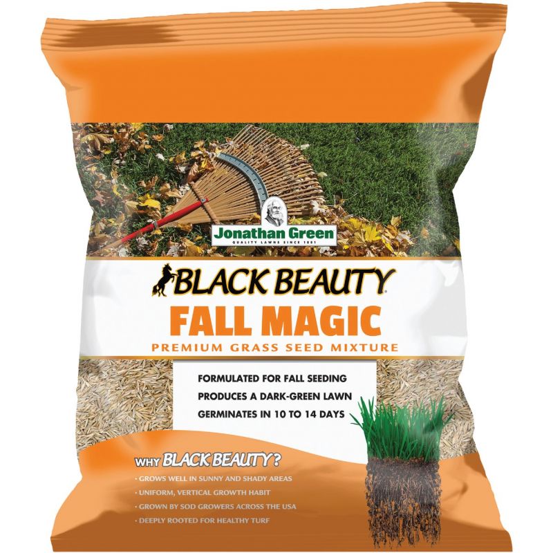 Jonathan Green Black Beauty Fall Magic Grass Seed Mixture Medium Texture, Dark Green Color