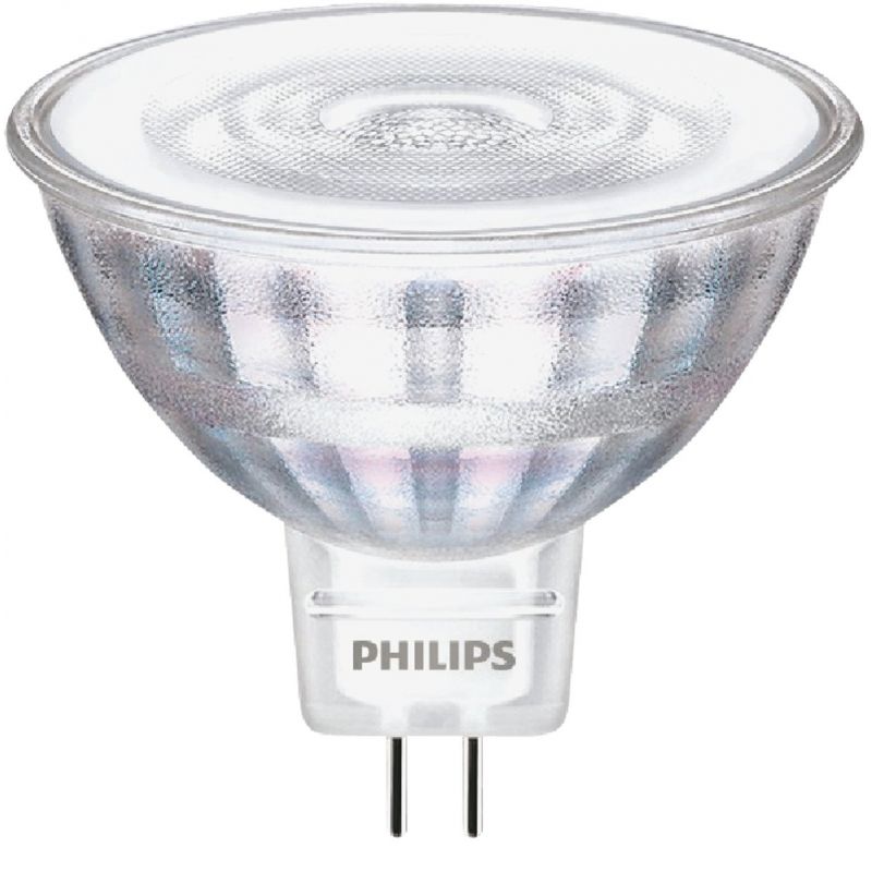 ikke noget vokse op frost Buy Philips Classic Glass MR16 GU5.3 LED Floodlight Light Bulb