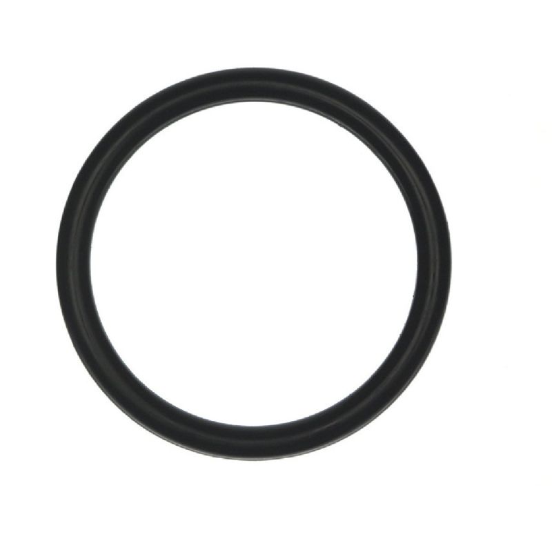 Danco O-Ring #110, Black (Pack of 5)