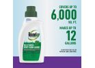 Roundup For Lawns Southern Formula Weed Killer 32 Oz., Pourable