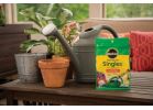 Miracle-Gro Watering Can Singles Dry Plant Food