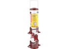 Stokes Select Jumbo Finch Thistle Feeder Cranberry Red Or Yellow