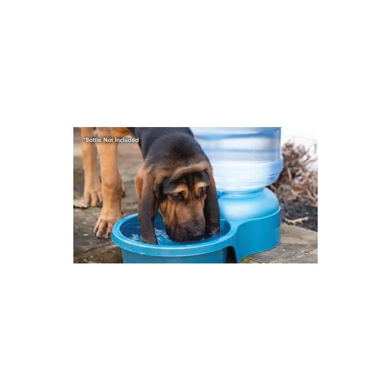 Petmate 34087 Water Bowl, One-Size, 5 Gal Volume, Blue