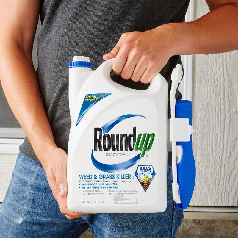 Roundup 5003090 Ready-to-Use Weed and Grass Killer, Liquid, Hazy, 24 oz Hazy