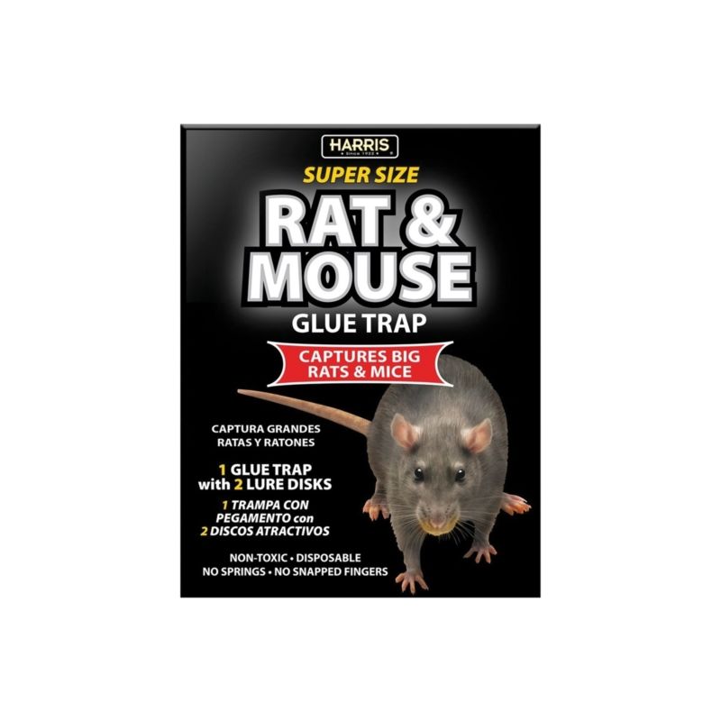 Harris BLKRAT-1 Rat and Mouse Glue Trap