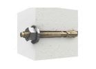 Reliable WAZ12414J Wedge Anchor, 1/2 in Dia, 4-1/4 in L, 692 kg Ceiling, 857 kg Wall, Steel, Zinc