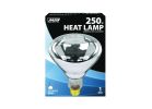 Feit Electric 250R40/1 Incandescent Lamp, 250 W, R40 Lamp, Medium E26 Lamp Base, 2200 Lumens, 2700 K Color Temp
