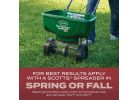 Scotts Turf Builder Sunny Grass Seed Mix