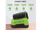 Greenworks PRO Rapid Charger