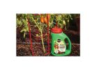 Miracle-Gro Shake &#039;n Feed 3002601 Tomato/Fruit and Vegetable Plant Food, 4.5 lb Jug, Solid, 10-5-15 N-P-K Ratio