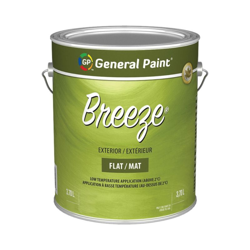 General Paint and Chemical COLORmaxx GE0070054-16 Breeze Paint, Flat, Clear Clear