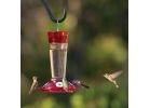 More Birds Ruby Hummingbird Feeder 10 Oz., Red