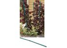 Gardener&#039;s Blue Ribbon Bamboo Plant Stakes Green