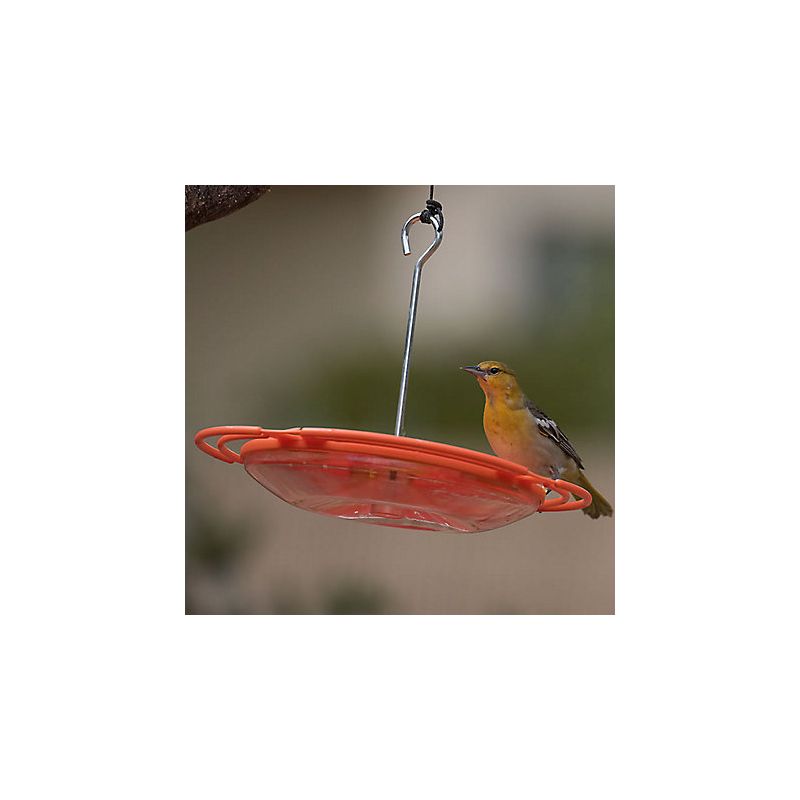 Perky-Pet 467-4 Bird Feeder, 16 oz, 4-Port/Perch, Plastic, Hanging Mounting
