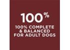Purina Dog Chow Complete Adult Dry Dog Food