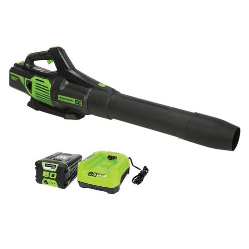 Buy Greenworks 1324902VT String Trimmer and Leaf Blower Combo, Battery  Included, 2.5 Ah, 80 V