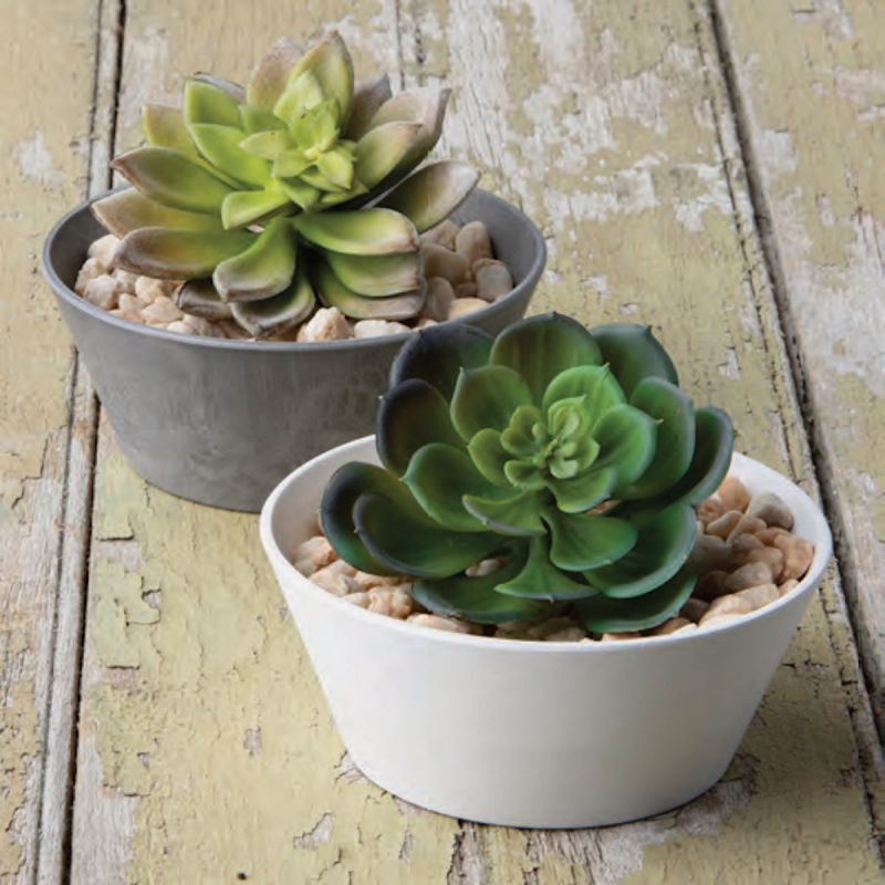 Novelty Artstone Cache Planter Assorted (Pack of 20)