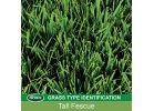Scotts PatchMaster Tall Fescue Grass Patch &amp; Repair