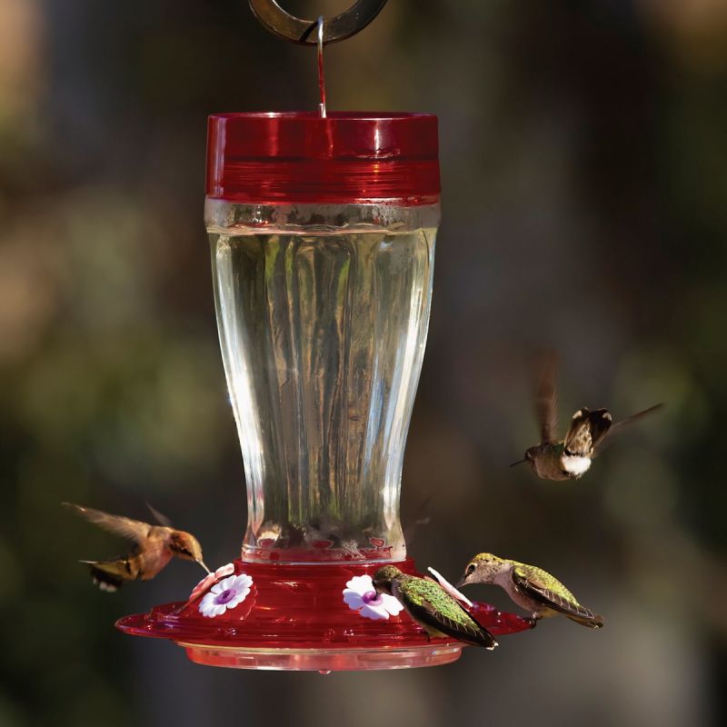 Classic Brands More Birds Bird Health+ Hummingbird Nectar Powder Clear, 8 Oz.