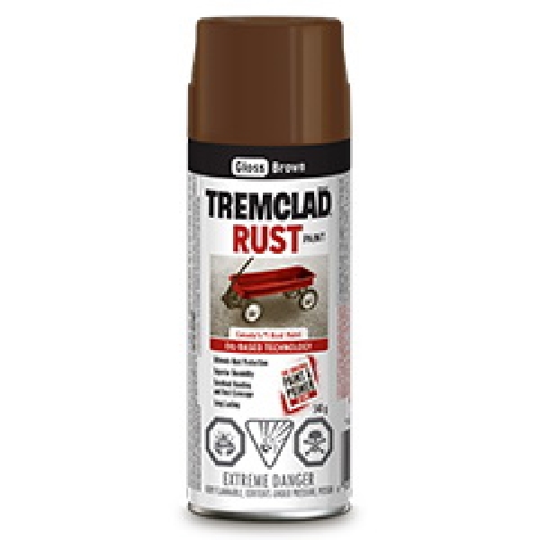 Buy Rust-Oleum 27073B522 Rust Preventative Spray Paint, Gloss, Clear, 340  g, Can Clear