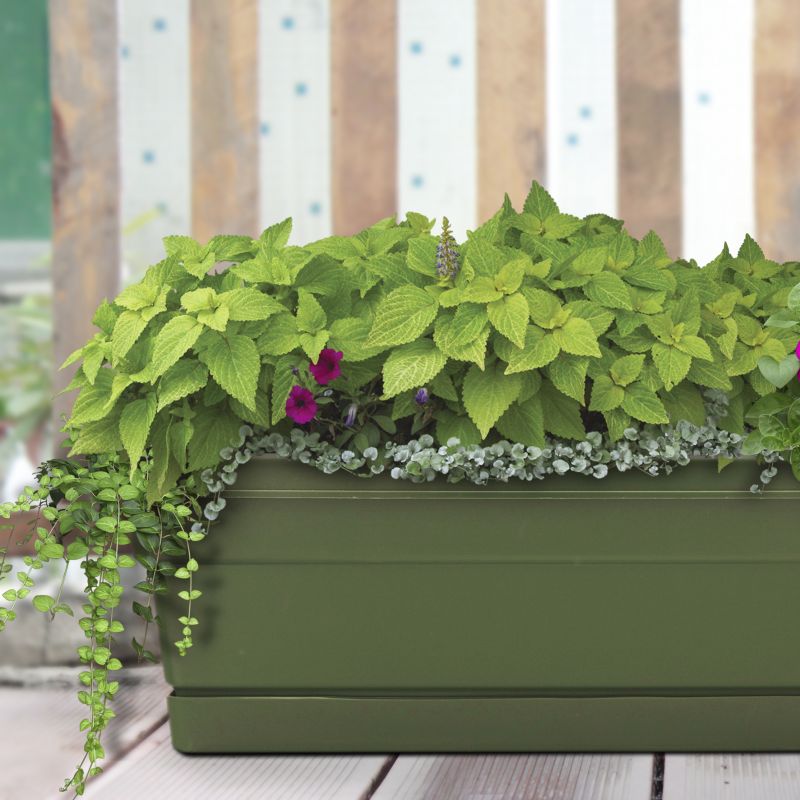 Southern Patio WB3012OG Window Box Planter, 7.22 in H, 8 in W, 29-3/4 in D, Dynamic Design, Polyresin, Olive Green Olive Green (Pack of 12)