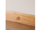 Minwax Wood Putty 3.75 Oz., Golden Oak