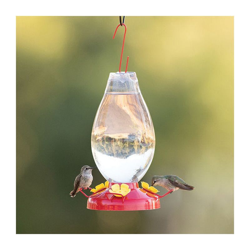 Perky-Pet 286 Bird Feeder, Rounded Vase, 33 oz, Nectar, 3-Port/Perch, Plastic, 11.8 in H, Hanging Mounting