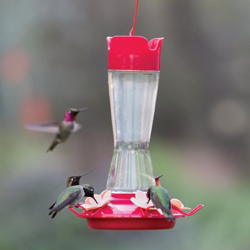 Perky Pet Pinch Waist Hummingbird Feeder 12 Oz., Clear With Red Top &amp; Base