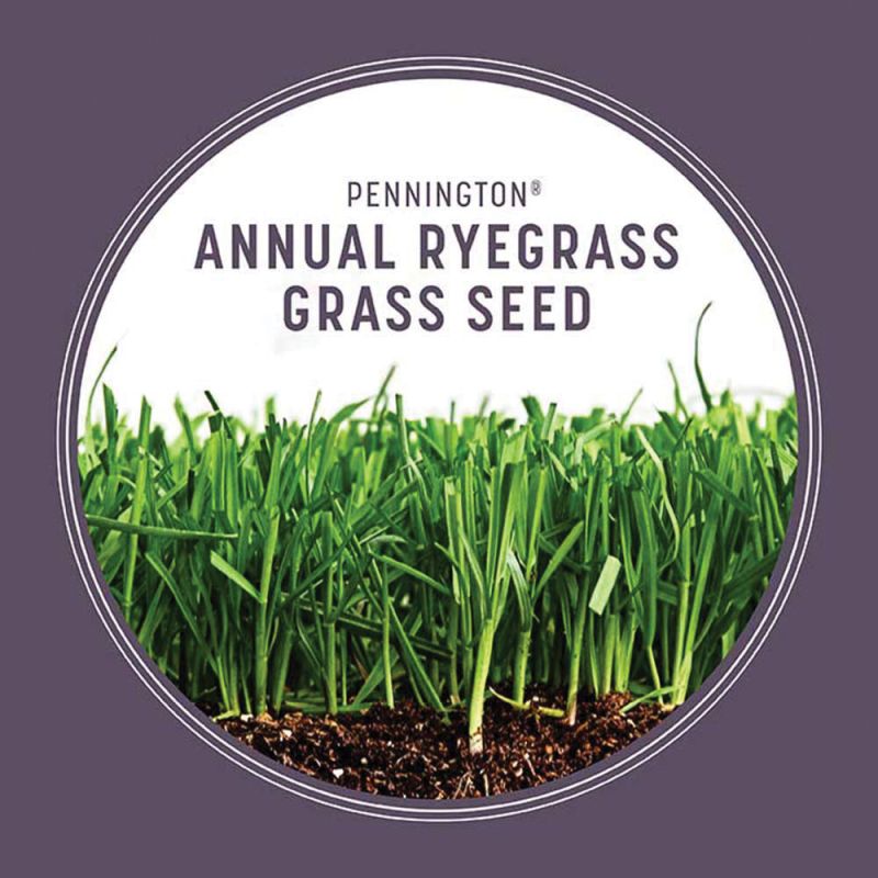 Pennington 100082644 Grass Seed, 50 lb Bag