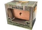 Best Bee Brothers Carpenter Bee Trap