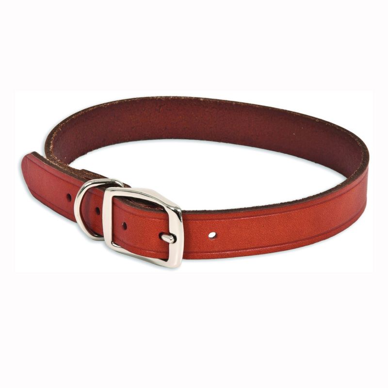 Ruffmaxx 10829 Dog Collar, 18 in L Collar, 1 in W Collar, Leather, Brown Brown