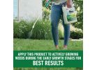Roundup For Lawns Northern Formula Weed Killer 1.33 Gal., Wand Sprayer