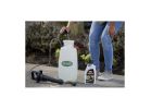 Ortho GROUNDCLEAR 4650306 Weed and Grass Killer, Liquid, Spray Application, 32 oz Bottle Clear